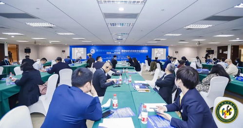 進(jìn)博會(huì)觀察｜行云集團(tuán)Billy受邀出席2020跨境電商與貿(mào)易數(shù)字化論壇，共探國(guó)際貿(mào)易新未來